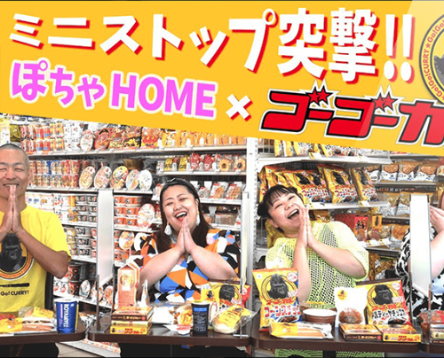 株式会社ゴーゴーカレーグループ<br>動画制作